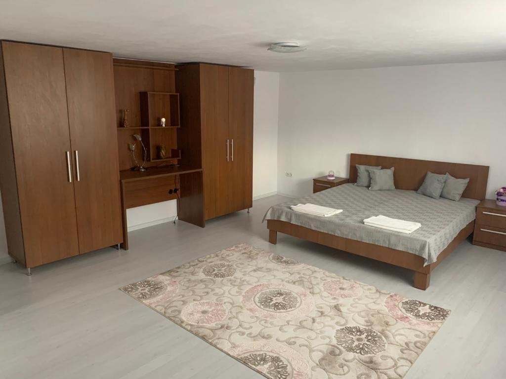 Casa Deac Διαμέρισμα Sebeş Εξωτερικό φωτογραφία