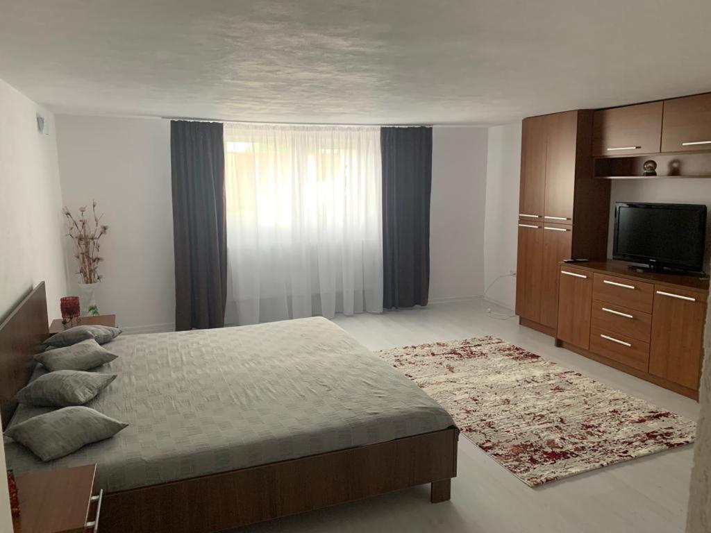 Casa Deac Διαμέρισμα Sebeş Εξωτερικό φωτογραφία